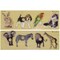 Edushape Large Knob Animal Puzzles - 2 Sets with 4 Animals